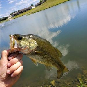 Meet your Posher, Kyle